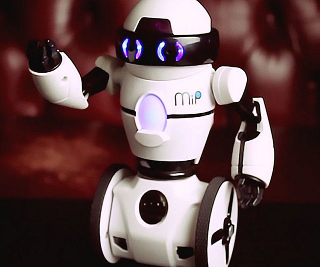 Balancing Buddy Robot